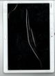 MODULE AFFICHEUR+COQUE+TP BLANC BACH