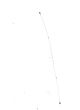 CABLE RF BLANC 50OHM