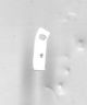 C-CER CHIP