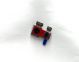 MODULE CAMERA AVANT 32M+1.9M (ELSA-N29D) COMS  (1/2.74   6528*4896 + 1/8.04   1600*1200)