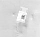 C-POLYMER  CHIP