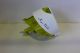 BC ASSY STAR WHITE LIME YELLOW PAPPILION