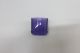 FILLING DOOR MOLDED (JIM PURPLE)