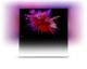 TV LED PHILIPS 46PDL8908S/12