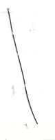 RF CABLE BLACK