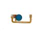 FP MODULE ASSY BLUE