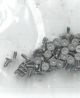 VIS COUVERCLE POUR CONNECTEURS DE LA BATTERIE/L¿ÉCRAN À DROITE 200PK