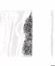 VIS DE SECURITE (ARGENT) 100PK