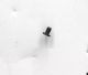 SCREW KOBE-L09A FLAT M1.4*2.0* D2.5*0.4MM BLACK ZINC PLATED SURFACE THE WINDING RESISTANCE ADHESIVE