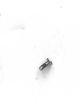 SCREW2,Y560-CL00,M1.4*3.5_RESISTANT(WHITE)