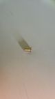 BRASS BUSH BEAN CONT.FINGER PROTEC.P0057