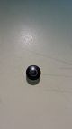 TRANSP.STAND-BY BUTTON S/SCR.SMR
