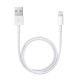 1M AC, LIGHTNING TO USB CABLE