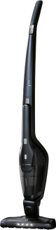 ASPIRATEUR SANS FIL ELECTROLUX ERGORAPIDO EER75STM