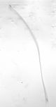 CABLE COAXIAL BLANC 177.3MM [SM-A505FN]