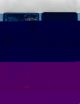 MODULE AFFICHEUR - OCTA (SVC/ZG/PF) [SM-N980F_SM-N981B]