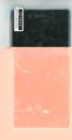 MODULE COQUE AVANT+AFFICHEUR DS AQUA