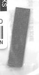 CONDUCTIVE GASKET MAIN CAMERA BRACKET