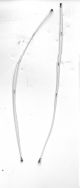 RF CABLE WHITE