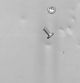 SCREW TORX M1.2 L2.5 SILVER