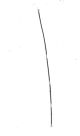 RF CABLE BLACK