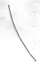 RF CABLE BLACK 